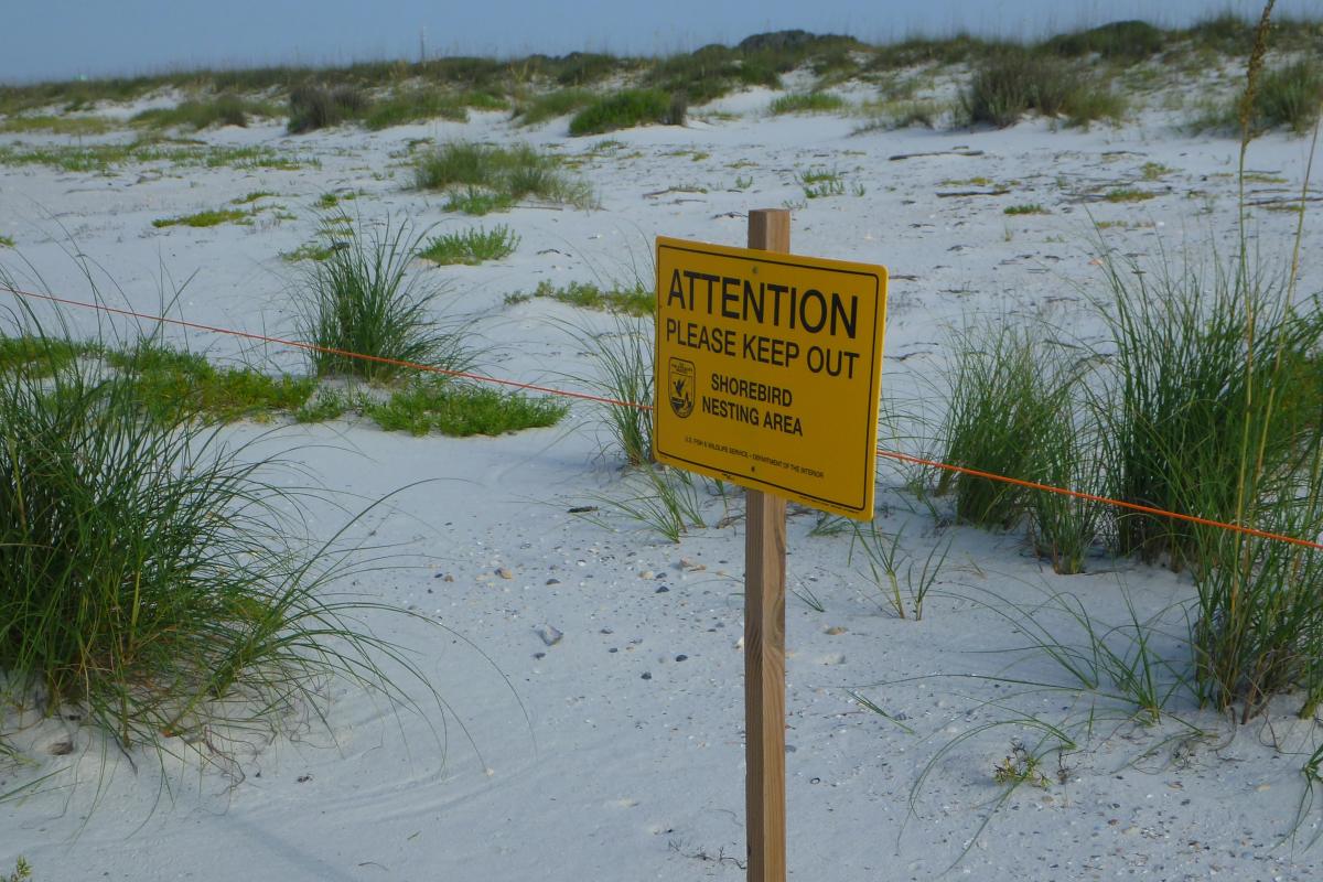 A sign on beach dunes notifies people that the dune is bird habitat.